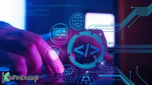 web developer