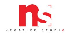 NS logo1 01