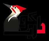 لوگوی آموزشگاه دارکوب
